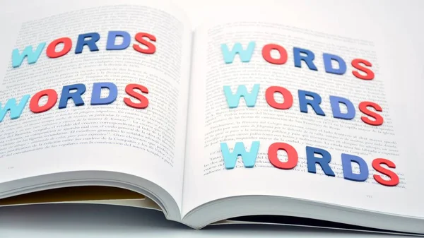 Word Words Formed Wooden Letters Open Book — Stock Photo, Image