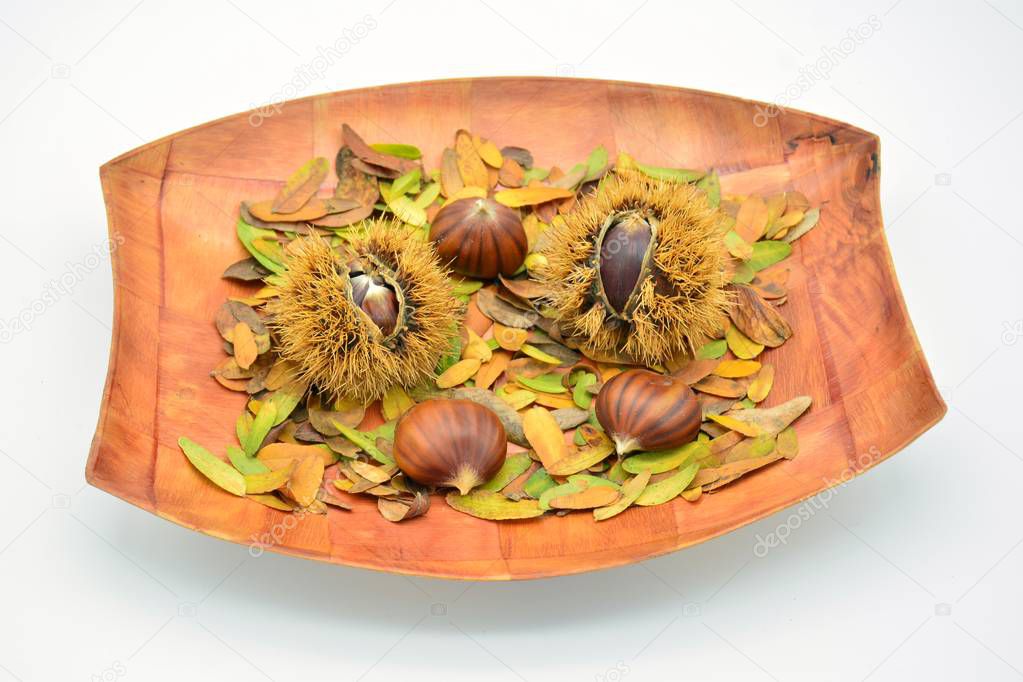 Chestnuts and hedgehogs on a wooden plate with autumn leaves