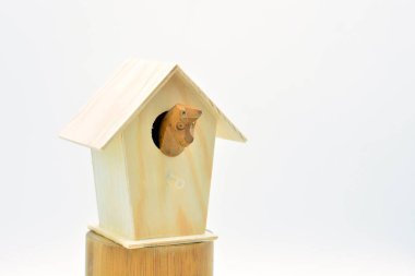 Satranç atı kafası dışarı çıkmış küçük tahta bir ev.