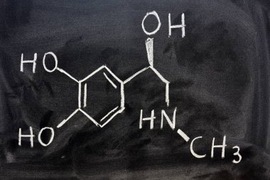 Adrenalin 'in yapısal formülü tahtaya tebeşirle elle yazılmış.