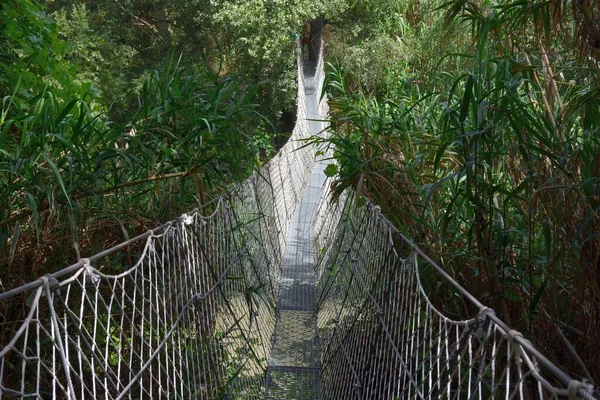 Подвесной Мост Веревок Стального Кабеля Через Реку — стоковое фото