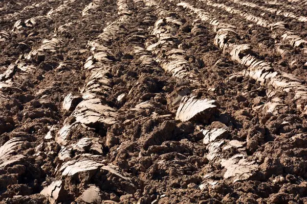 Świeżo Zaorana Gleba Polowa Tekstura — Zdjęcie stockowe