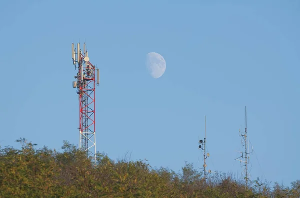フォレスト内の通信アンテナ — ストック写真
