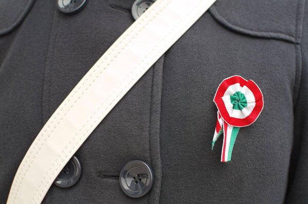 Hungarian Cockade Pinned