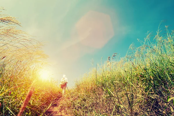 Hiker Backpack Walking Meadow Mountain — Stock Photo, Image