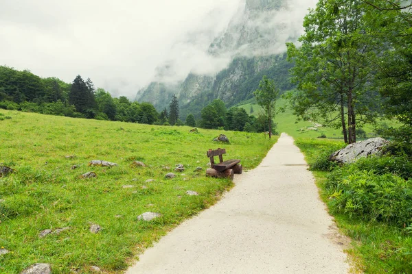Cadeira e estrada na montanha com nevoeiro. Verde natureza viagem backgro — Fotografia de Stock