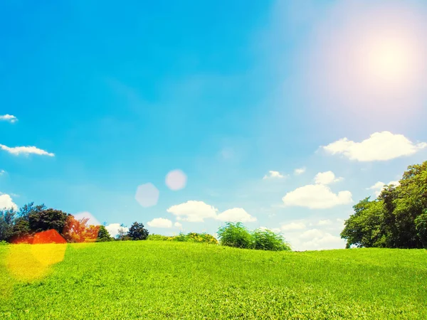 Campo de hierba verde con cielo azul y luz solar. Naturaleza paisajística b —  Fotos de Stock