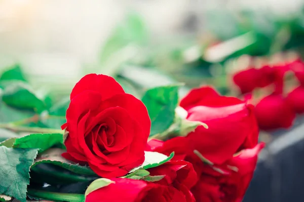 Red rose for valentine and wedding background. — Stock Photo, Image