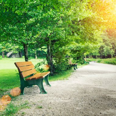 Ağaç bahçe koltukları.