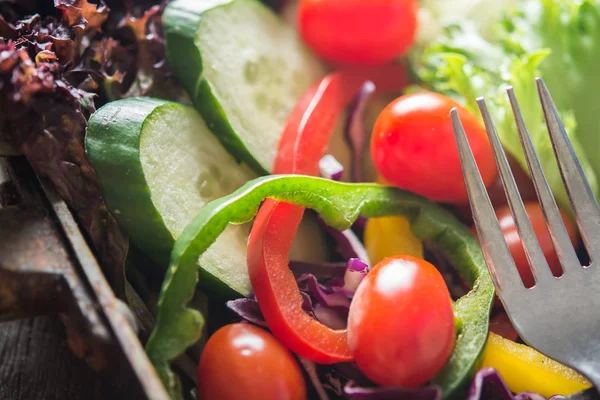 Décryptages Salade fraîche, tomate, concombre, poivre — Photo