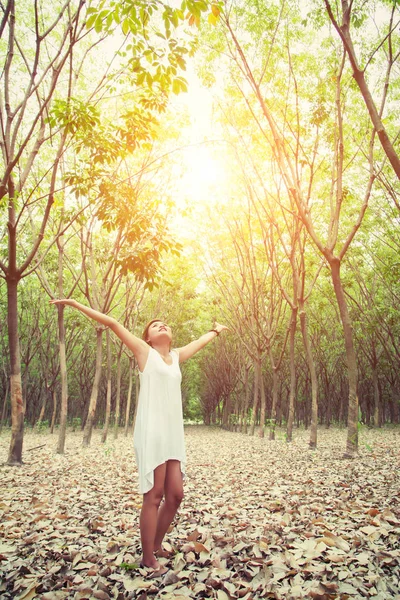 Feliz bela jovem levantando as mãos no enjo floresta — Fotografia de Stock
