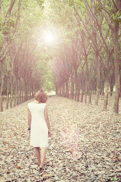 Mulher triste andando sozinha na floresta sentindo-se triste e solitário — Fotografia de Stock