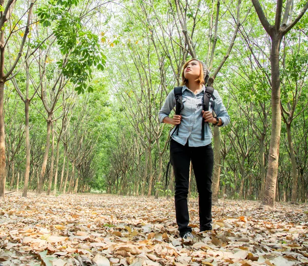 Beautiful young woman carrying backpack walking in forest lookin — Stock Photo, Image