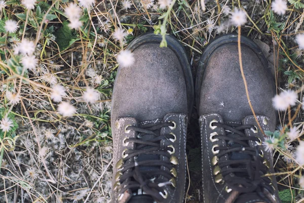 Pies de mujer con botas de mujer marrón en el campo de flores . — Foto de Stock