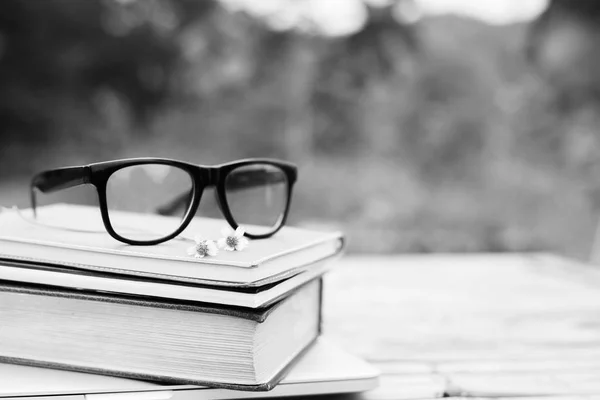Kniha a oko brýle na čtení a zápis nad rozmazané příroda outd — Stock fotografie