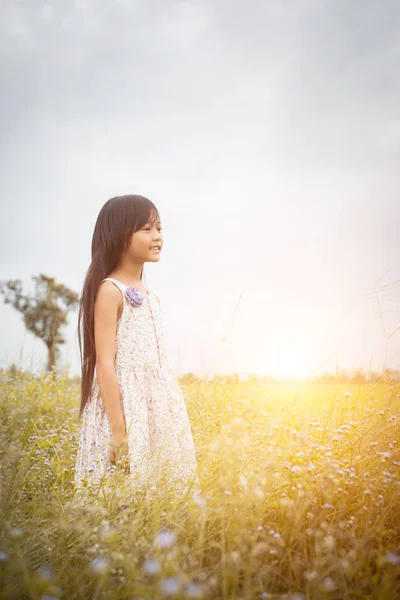 Küçük şirin Asyalı kız mor çiçek alan arasında fr yürüyüş — Stok fotoğraf