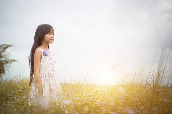 Liten Söt asiatisk flicka promenader bland fältet Lila blomma, fr — Stockfoto