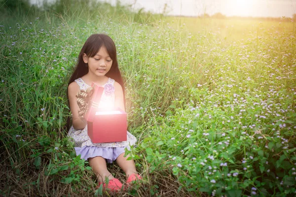 Маленька дівчинка сидить біля поля з подарунком і дивиться на нього , — стокове фото