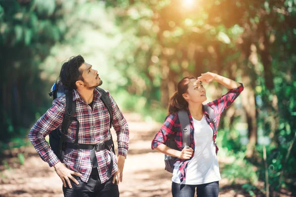 Pareja joven deja de buscar algo durante el senderismo juntos . — Foto de Stock