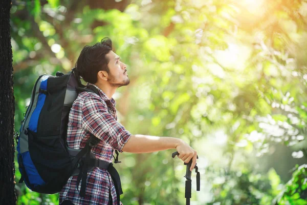 Un jeune randonneur s'arrête pour se reposer en regardant les arbres arou — Photo