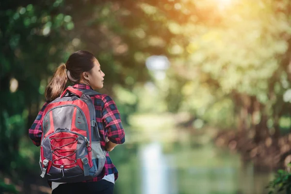 Mujer senderista - excursionista caminando en el bosque verde . — Foto de Stock