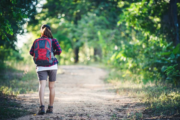 Sırt çantası bir ülke tra üzerinde yürüme ile genç kadın uzun yürüyüşe çıkan kimse arkası — Stok fotoğraf