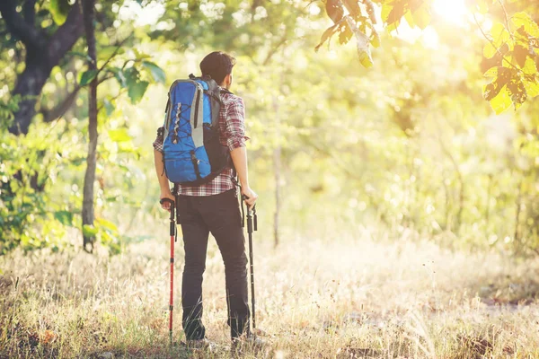 Vaca yürüyüşlere sırasında kırsal yolda yürüyen genç hipster adam — Stok fotoğraf