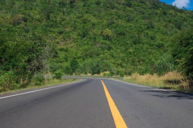 Ülke Road ile ağaçların yanında kırsal alanda. Doğa ve yeşil.