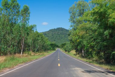 Ülke Road ile ağaçların yanında kırsal alanda. Doğa ve yeşil.