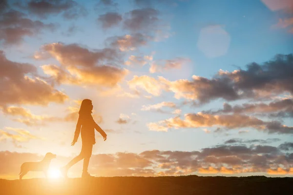 Silhouette d'une jeune femme marchant avec son chien au coucher du soleil . — Photo