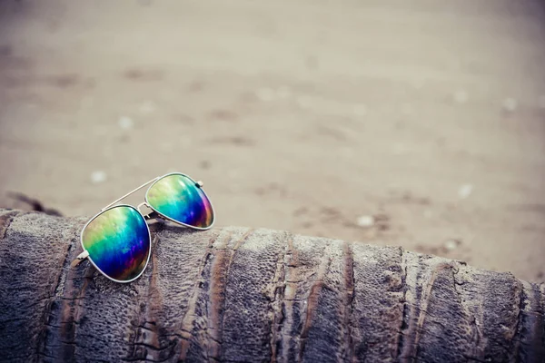 Sunglasses on the beach with die coconut tree. — Stock Photo, Image