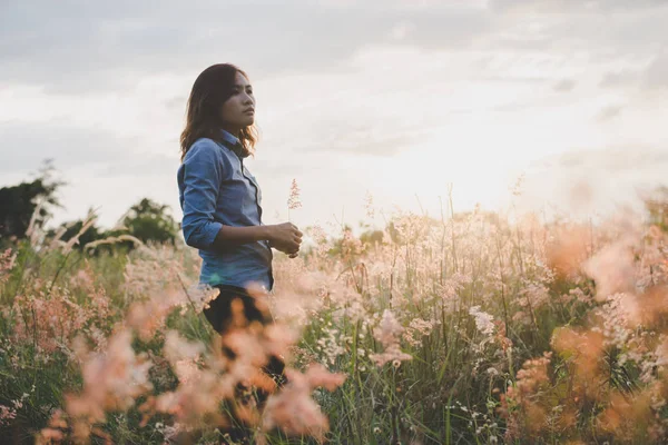 Γυναίκα ψάχνει μακριά, στέκεται στο πεδίο με φόντο ηλιοβασίλεμα. — Φωτογραφία Αρχείου