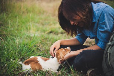Park dur onun köpek ile oynarken mutlu neşeli hippi kız
