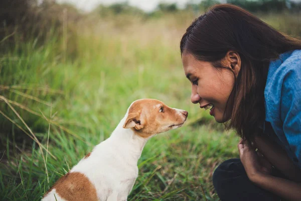 Park dur onun köpek ile oynarken mutlu neşeli hippi kız — Stok fotoğraf