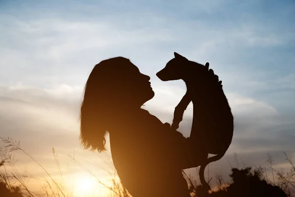 Silhueta de mulher segurando pequeno cão no campo por do sol . — Fotografia de Stock