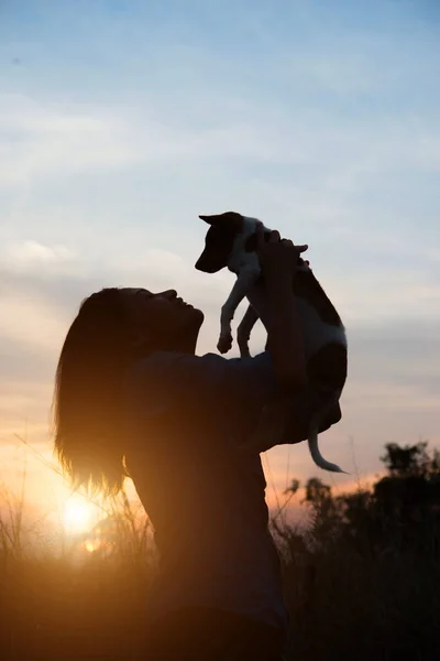 Silhueta de mulher segurando pequeno cão no campo por do sol . — Fotografia de Stock