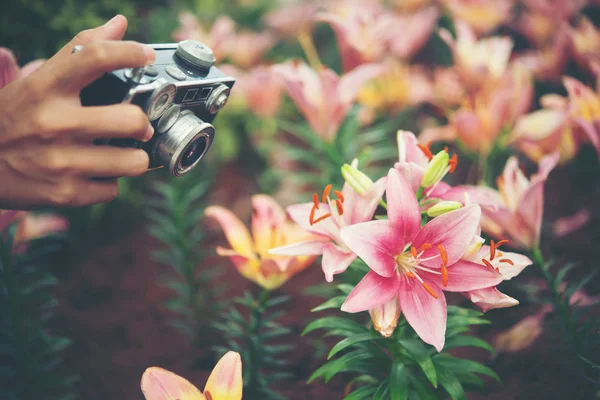꽃을 촬영 하는 빈티지 카메라 초점으로 여자의 손을 클로즈업합니다 — 스톡 사진