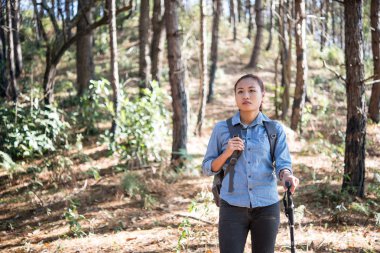 Kadın hiking gezgin bir çam ağacı orman yürüyüş sırt çantası ile.