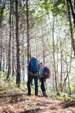 Çam ormanı içinde çift backpacker hiking.