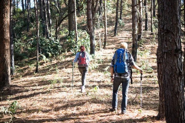 Hiking Çift Backpacker Çam Ormanı Içinde Portresi — Stok fotoğraf