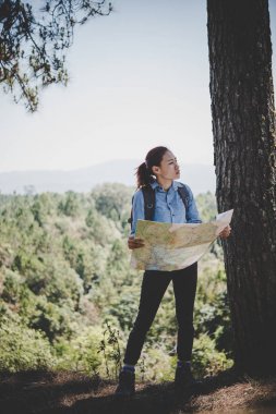 Genç kadın backpacker fiyatı hiking çelme takmak harita okuma. Tatile rahatlatıcı.