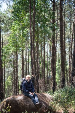 Adam güzel bir doğa etrafında izlerken kayanın üzerine oturmuş dağın zirvesinde. Erkekler yaşam tarzı kavramı.