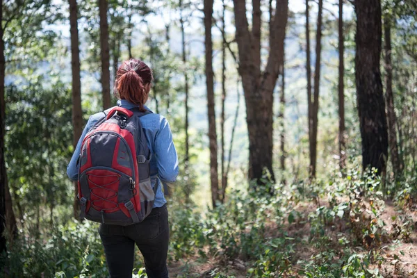 Toeristische Met Rugzak Doorlopen Het Bos Gaan Bergtop — Stockfoto