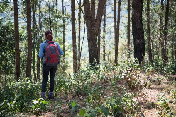 Dağın Tepesine Gitmek Turist Ile Ormanda Yürüyüş Sırt Çantası — Stok fotoğraf