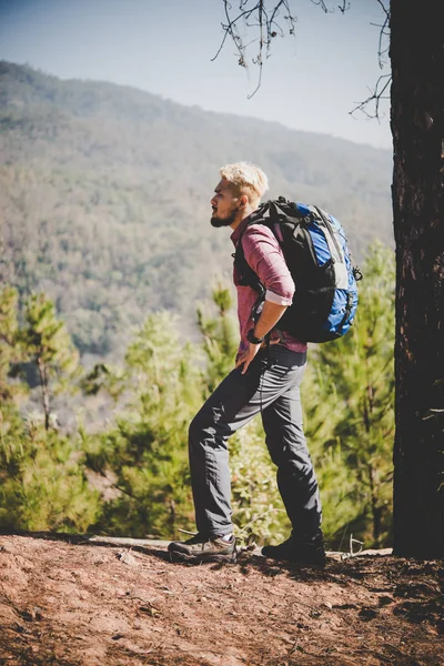 Wanderer Mit Großem Wanderrucksack Unterwegs Zum Berg — Stockfoto