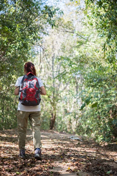 Aktive Junge Wanderin Wandert Durch Den Wald Und Genießt Die — Stockfoto