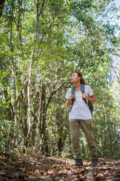 Aktive Junge Wanderin Wandert Durch Den Wald Und Genießt Die — Stockfoto