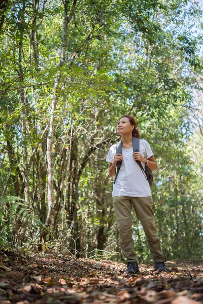 Yine Yürüme Aktif Genç Kadın Uzun Yürüyüşe Çıkan Kimse Ormanın — Stok fotoğraf
