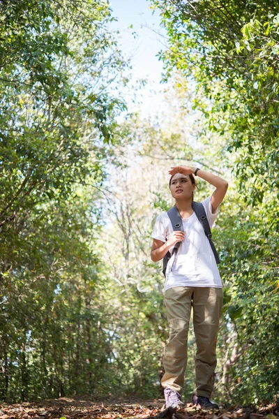 Aktive Junge Wanderin Wandert Durch Den Wald Und Genießt Die — Stockfoto