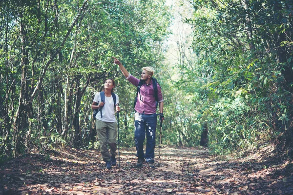 Giovane Coppia Attraente Escursioni Nella Foresta — Foto Stock